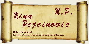 Mina Pejčinović vizit kartica
